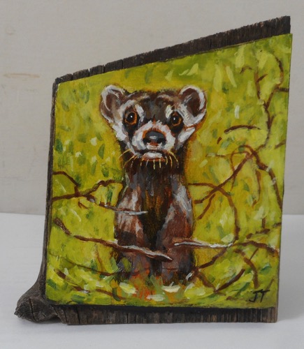 Black-footed Ferret
4” x 3.5” x 1.5” Black-footed Ferret
4” x 3.5” x 1.5”